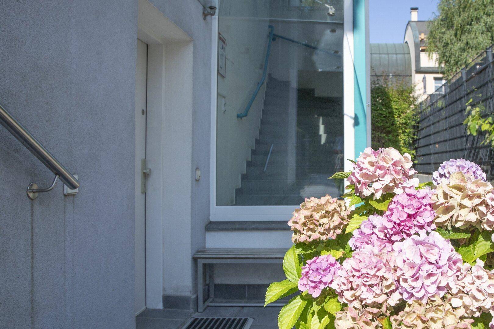 Eingangsbereich des Gebäudes mit Treppenhaus hinter Glas und blühenden Hortensien im Vordergrund.