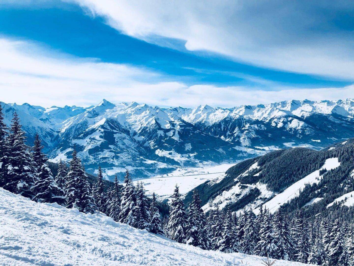 Weitläufige Winterlandschaft mit schneebedeckten Bergen und Tannenbäumen unter blauem Himmel.