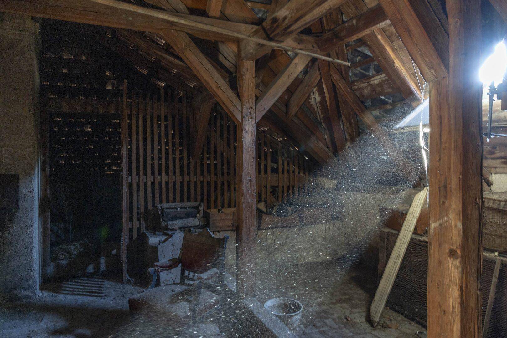 Geräumiger Dachboden mit sichtbaren Holzbalken und viel Potenzial für Ausbau.