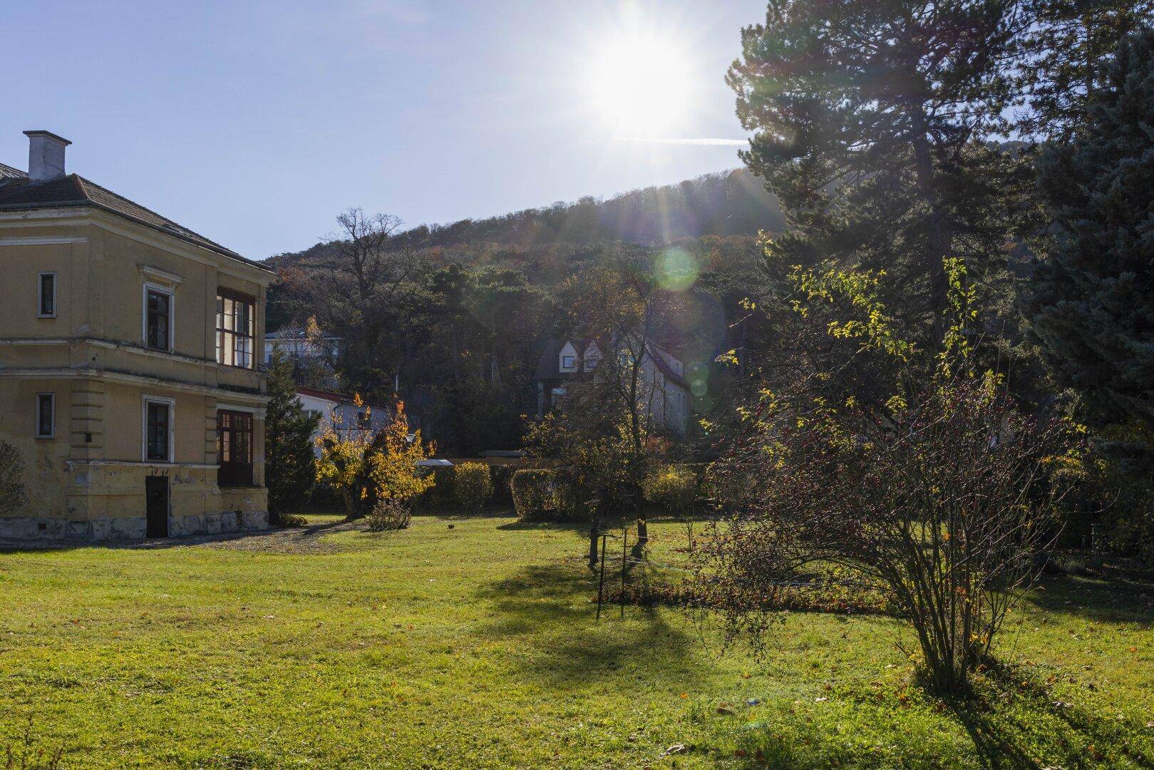 Sonniger, weitläufiger Gartenbereich mit altem Baumbestand und Blick auf die historische Villa.
