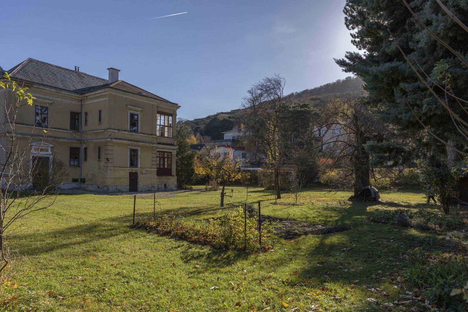 Großer, sonniger Garten mit altem Baumbestand und Blick auf die historische Villa und Hügel.