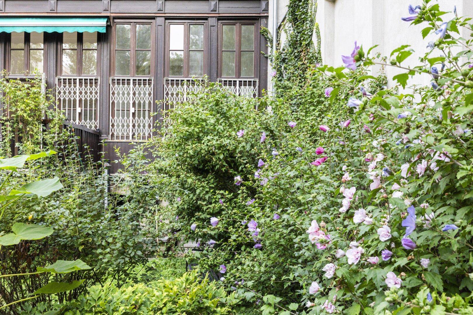 Blühende Sträucher im Garten mit der Gebäudefassade im Hintergrund, die eine farbenfrohe Szene bilden.