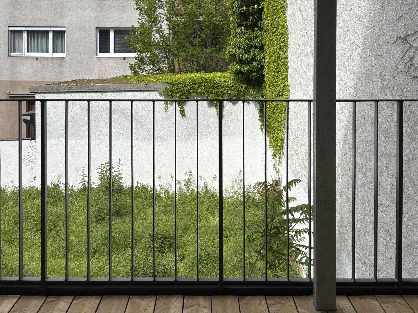 Blick von einem Balkon auf eine grüne, naturbelassene Fläche mit Bäumen und Sträuchern.