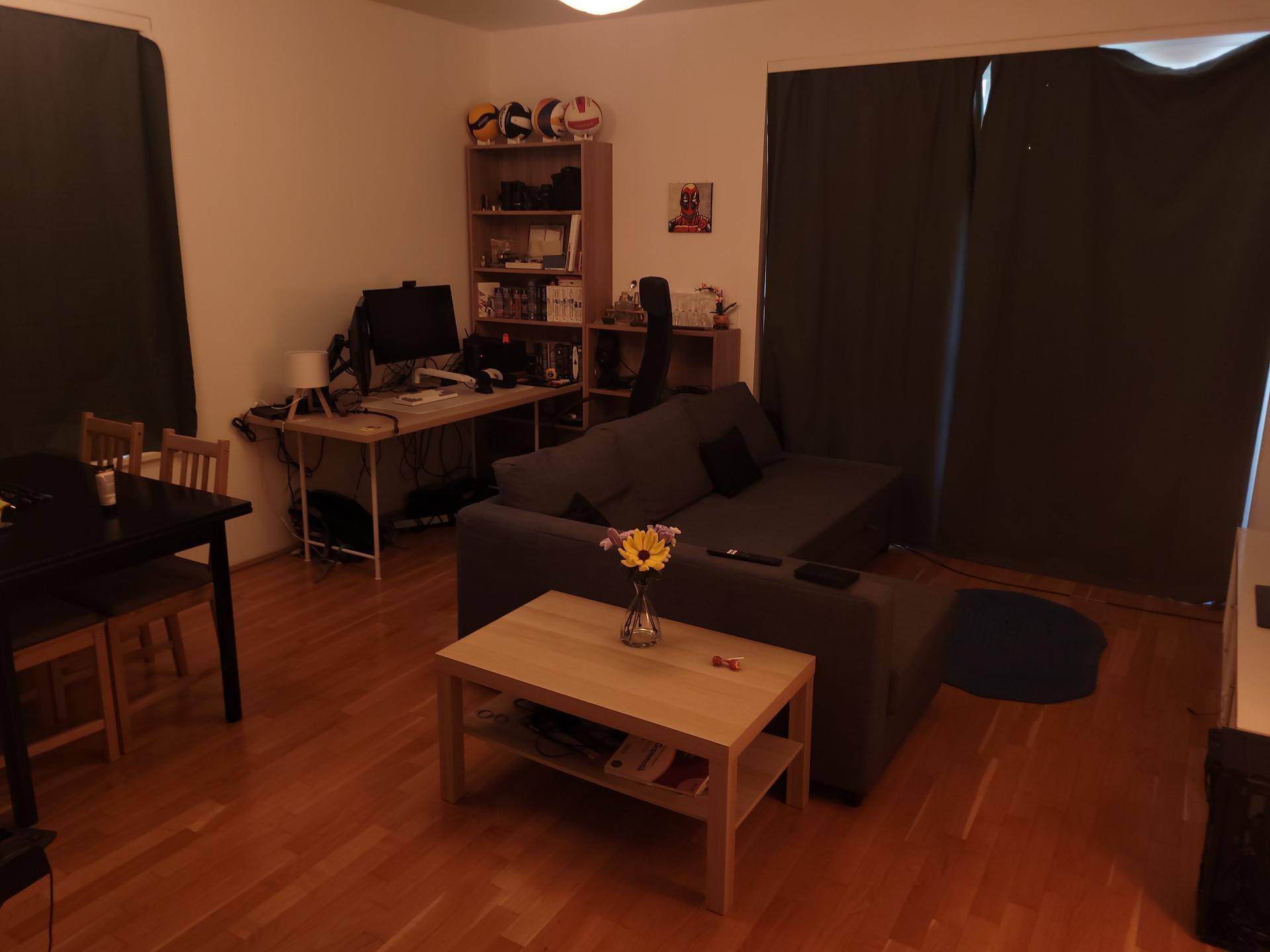 Gemütliches Wohnzimmer mit Sofa, Couchtisch und einem Arbeitsbereich.