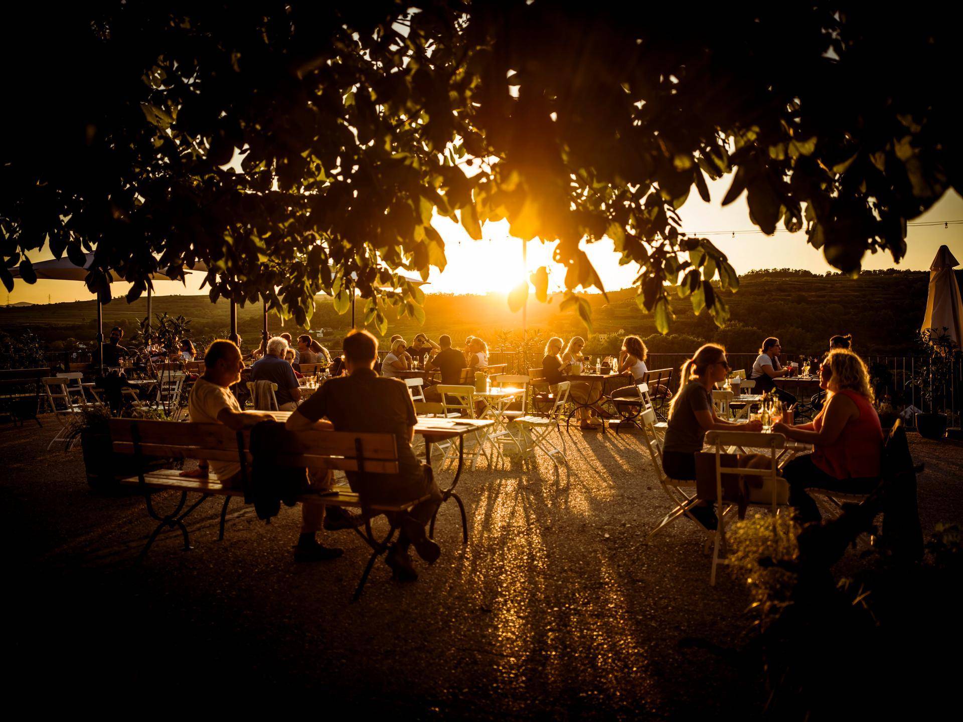 Menschen speisen im Freien auf einer Terrasse bei Sonnenuntergang, im Schatten von Bäumen, mit heller Himmelskulisse.