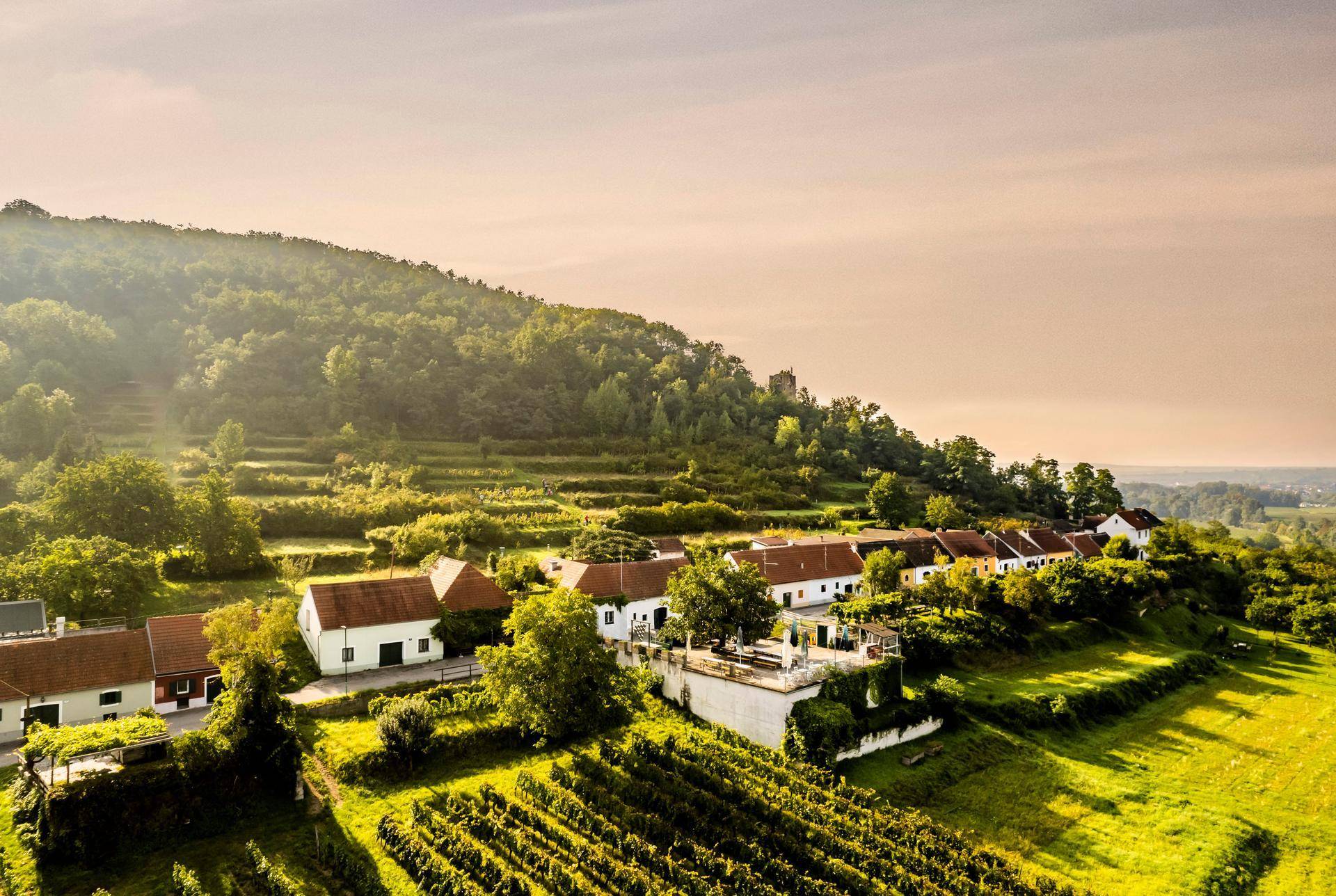 Weitläufige Luftaufnahme eines Dorfes in einem Tal mit terrassierten Weinbergen bei Sonnenaufgang oder Sonnenuntergang.