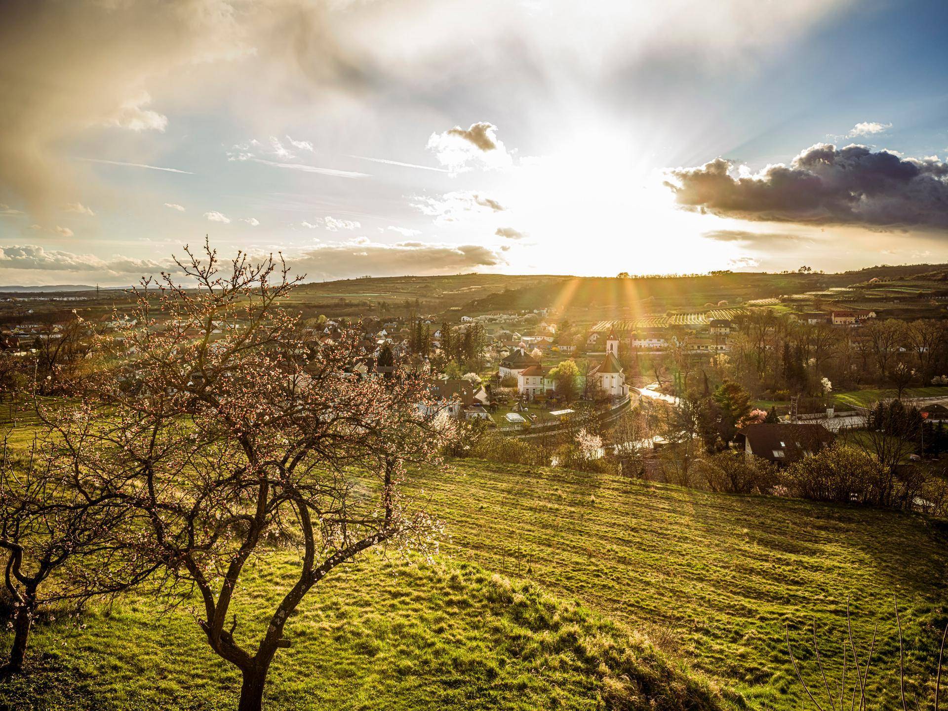 Malerische Landschaft mit blühendem Baum im Vordergrund, einem Dorf und einem strahlenden Sonnenuntergang.
