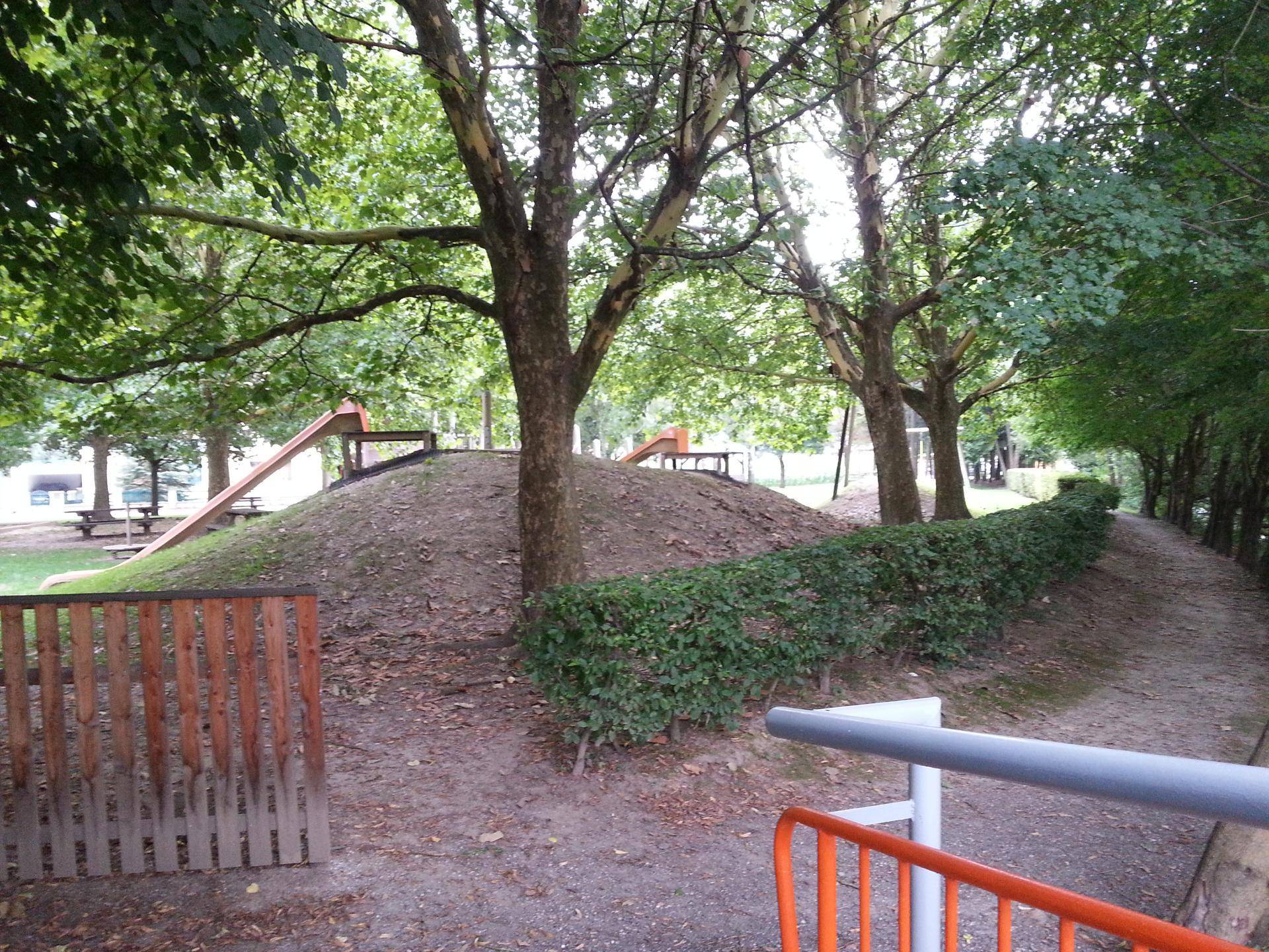 Slide 24