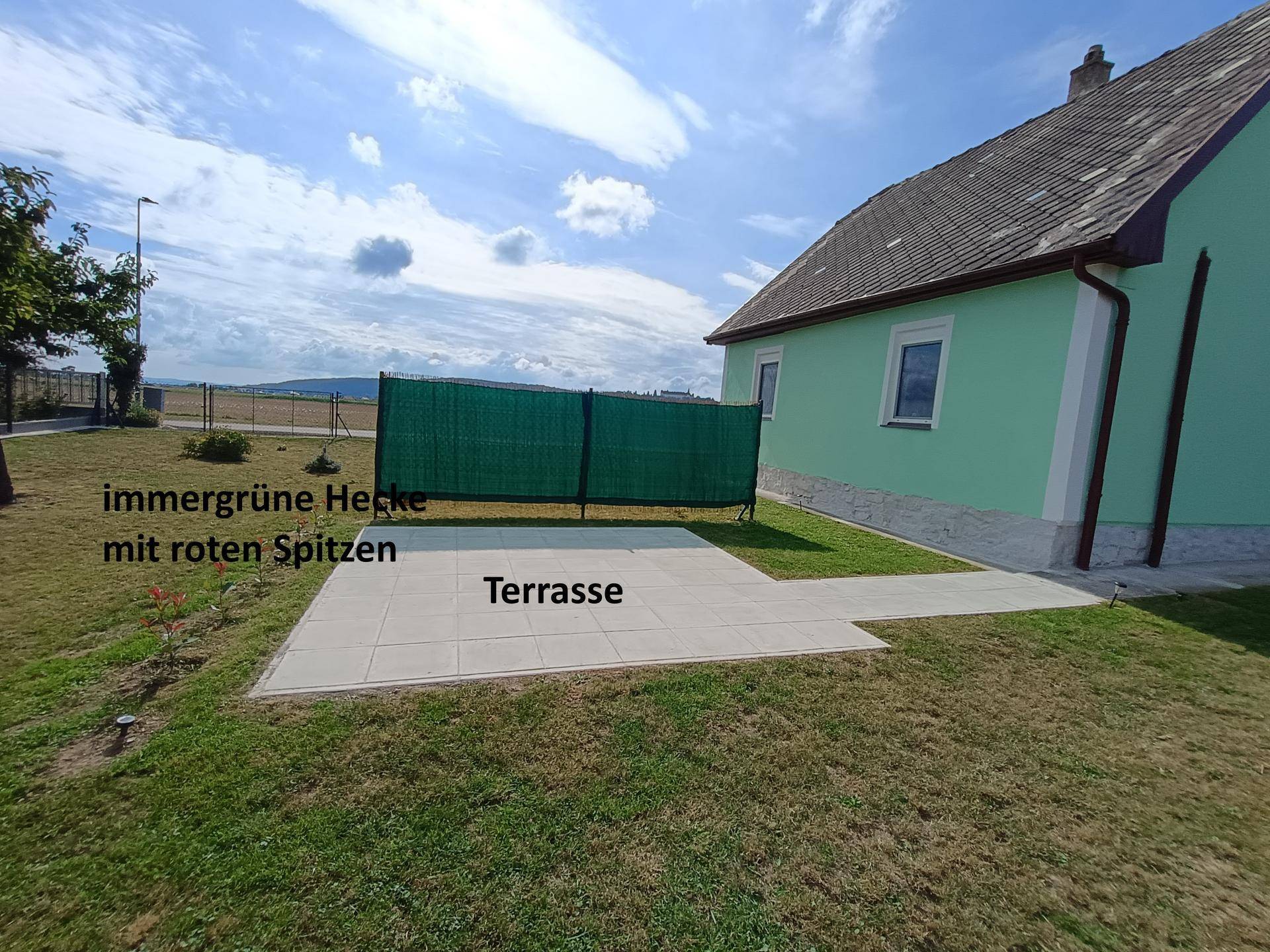 Slide 6