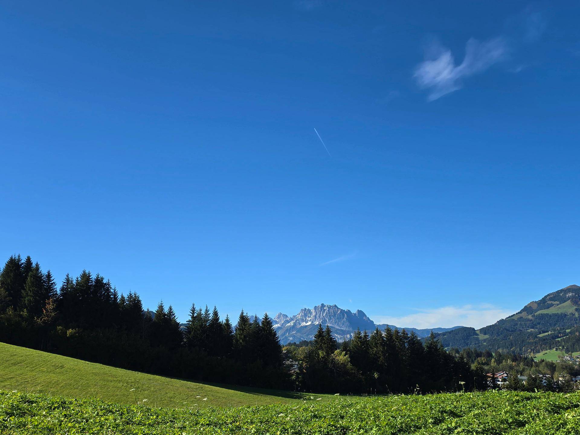 Grüne Wiesen und dichte Nadelwälder mit schneebedeckten Berggipfeln in der Ferne unter strahlend blauem Himmel.