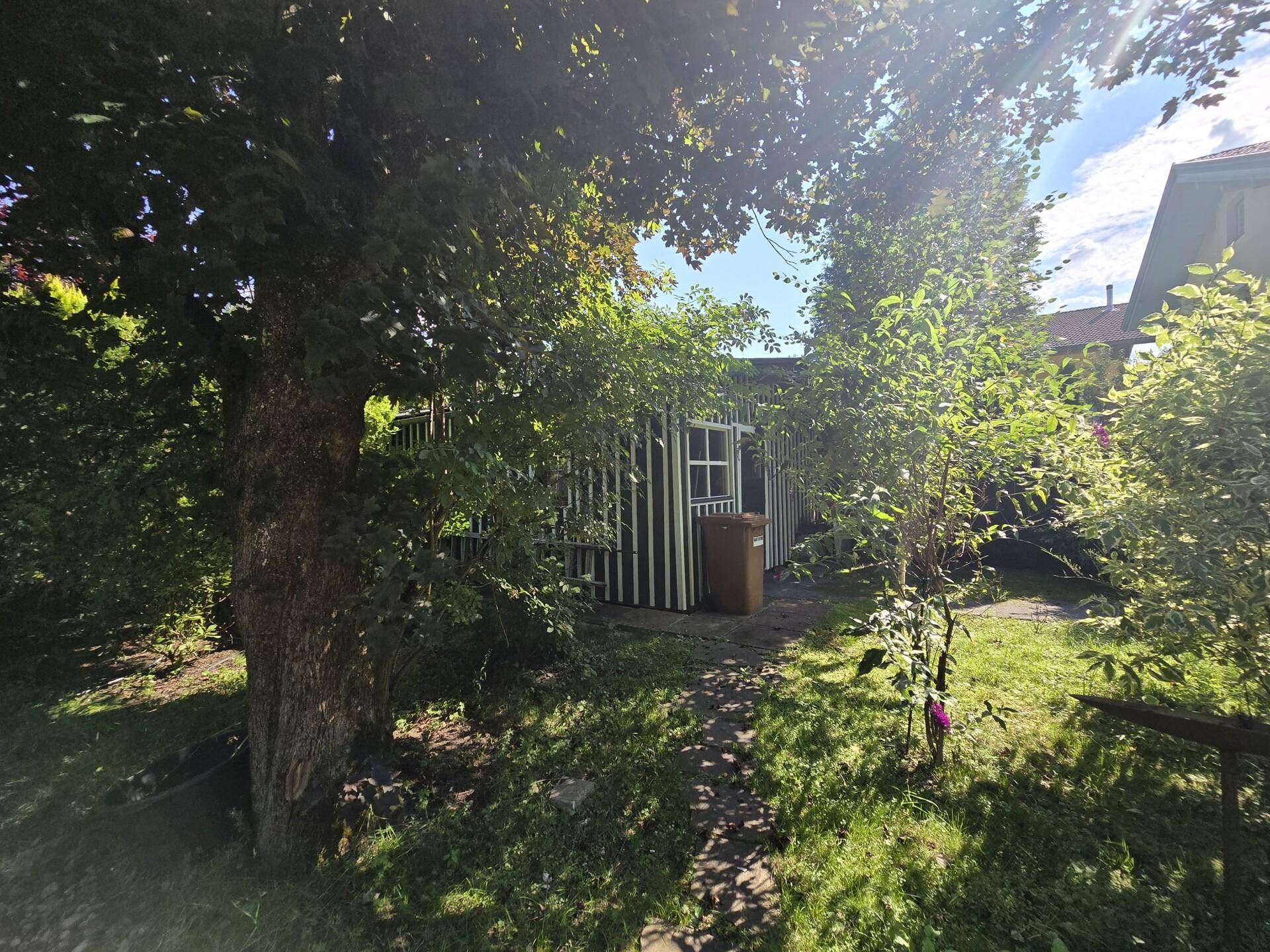 Grüner Garten mit altem Baum und einem kleinen Holzschuppen im Hintergrund, sonniger Tag.