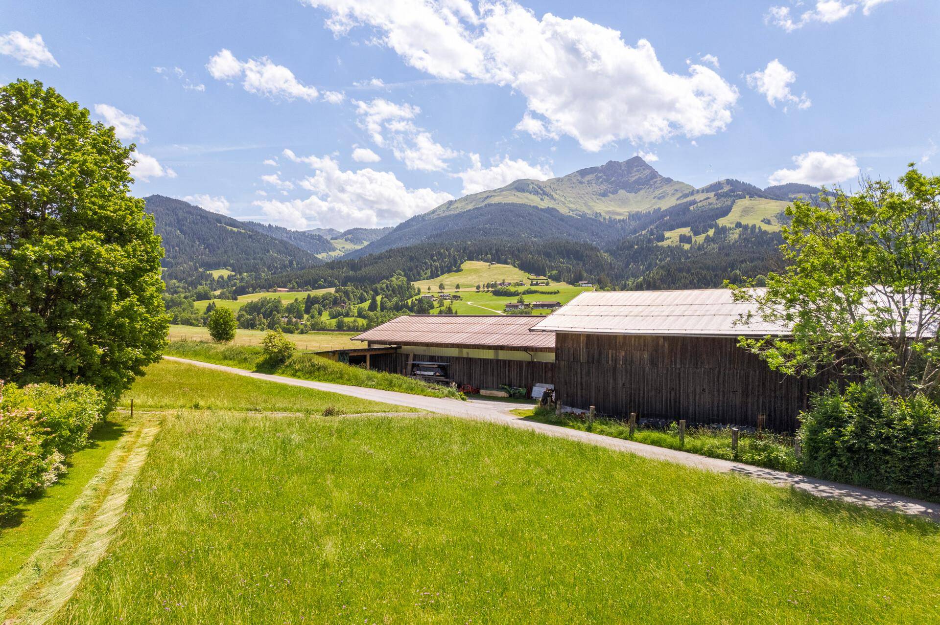 Weitläufige grüne Landschaft mit einem Bauernhof und Bergen im Hintergrund, unter einem strahlend blauen Himmel.