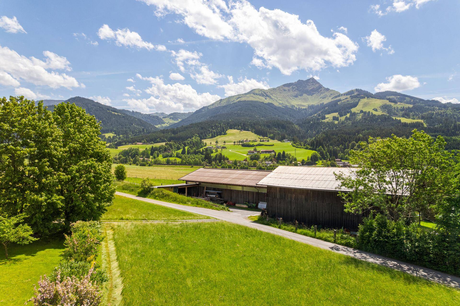 Idyllische Szenerie mit grünen Feldern, einem Bauernhof und einer beeindruckenden Bergkette am Horizont.
