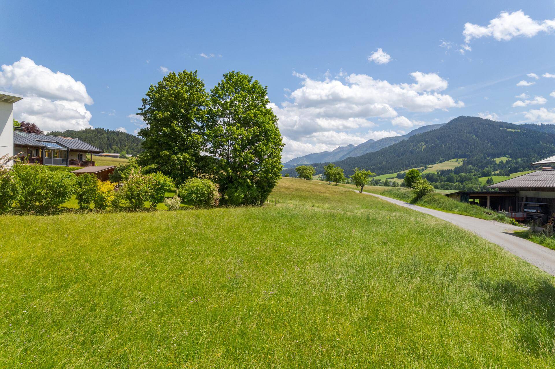 Sonnige Wiesenlandschaft mit vereinzelten Bäumen und einem weiten Blick auf die umliegenden Berge und Täler.