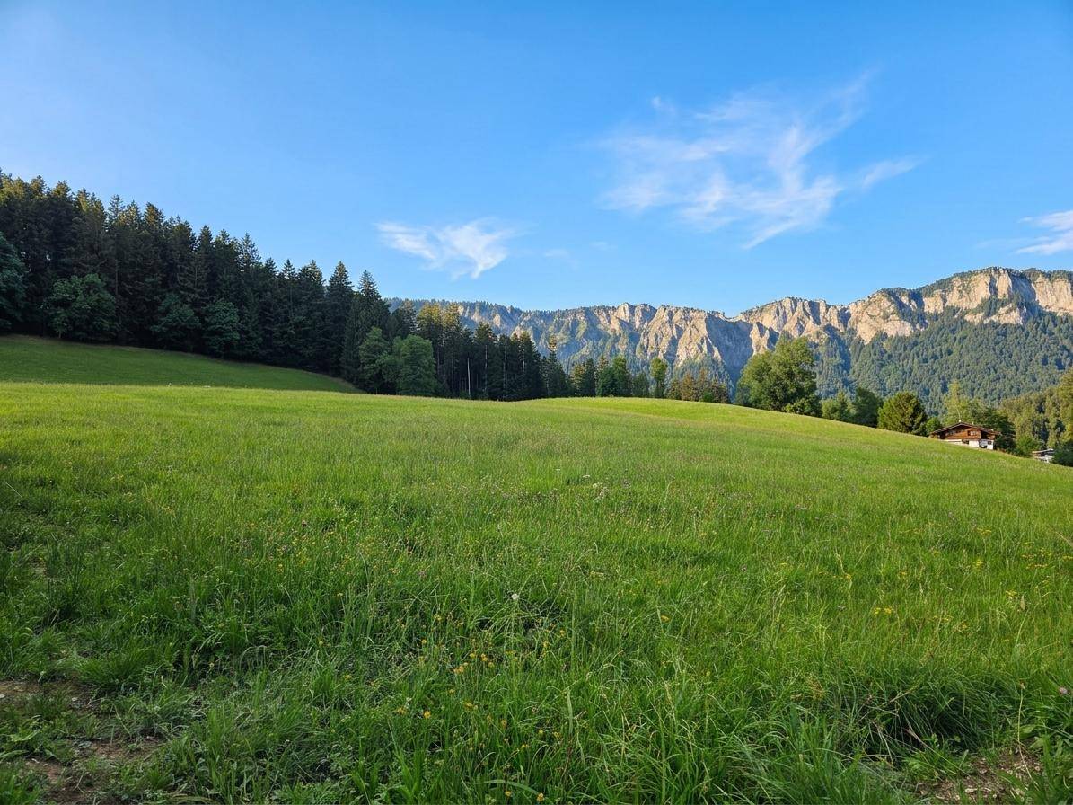 Ausgedehnte grüne Wiese vor einem Wald und markanten Felsformationen der Berge unter blauem Himmel.