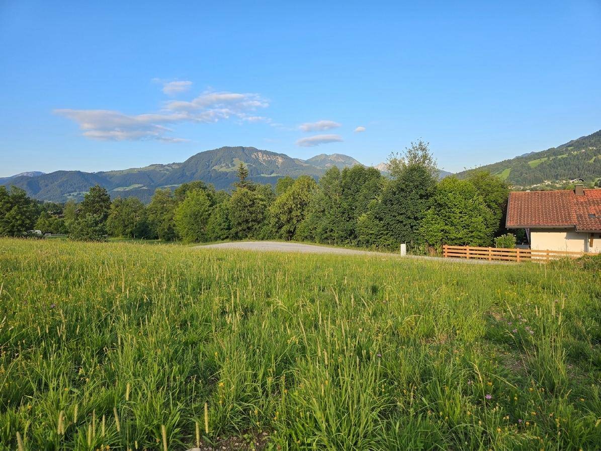 Weite grüne Wiesenfläche mit Bäumen und Bergen im Hintergrund unter einem klaren blauen Himmel.