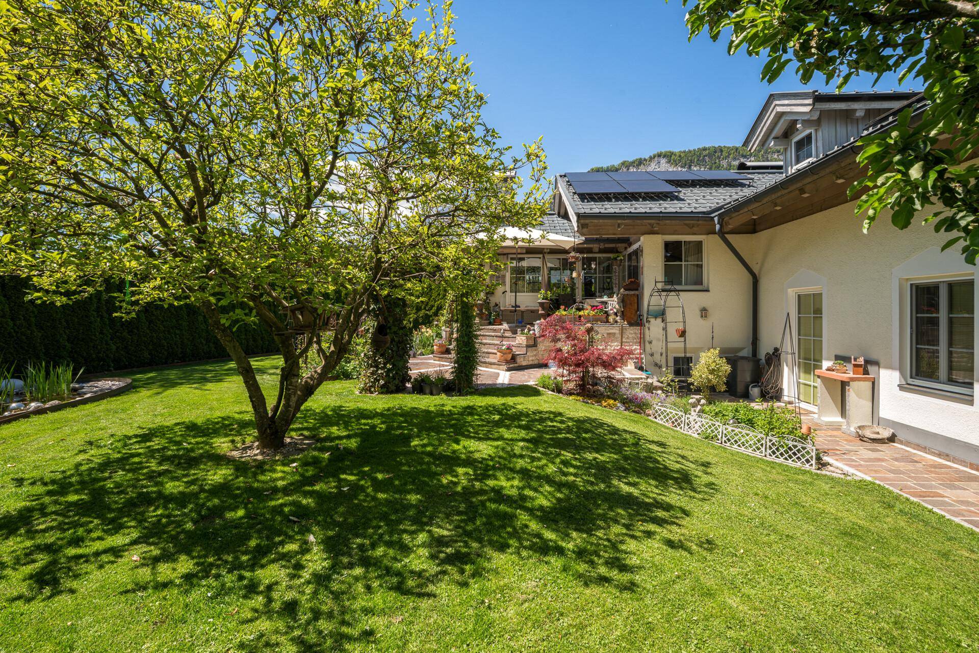 Großer, sonniger Garten mit altem Baum und Zugang zur Terrasse des Hauses.