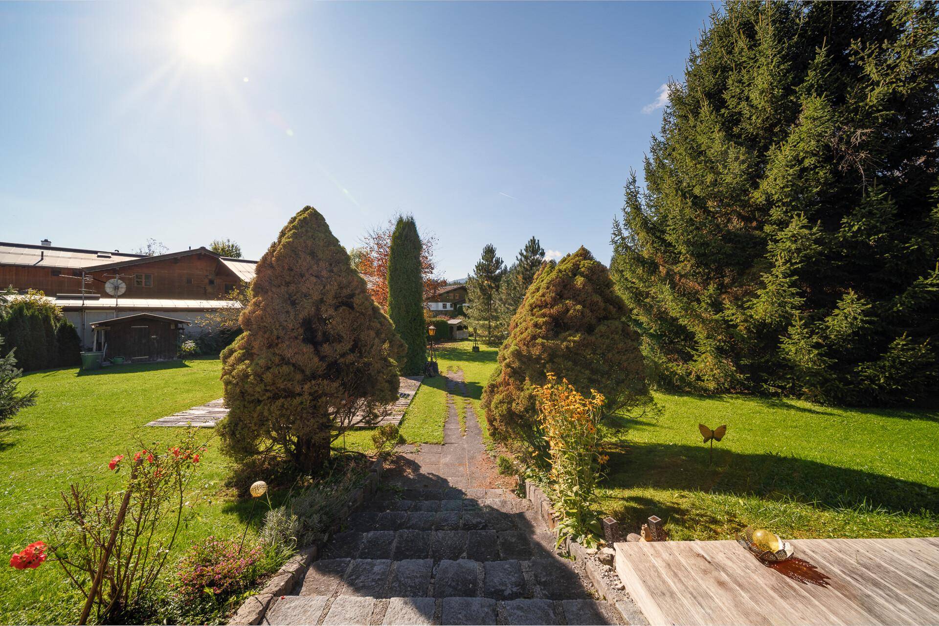 Sonniger Gartenweg mit Steinstufen, umgeben von gepflegten Sträuchern und Bäumen in voller Pracht.