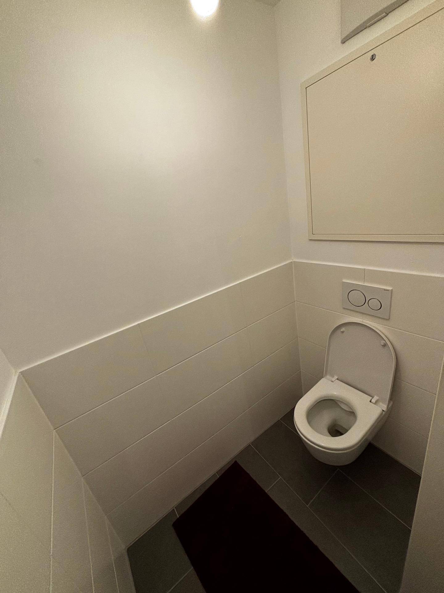 Modernes Gäste-WC mit wandmontierter Toilette und halbhohen Wandfliesen.