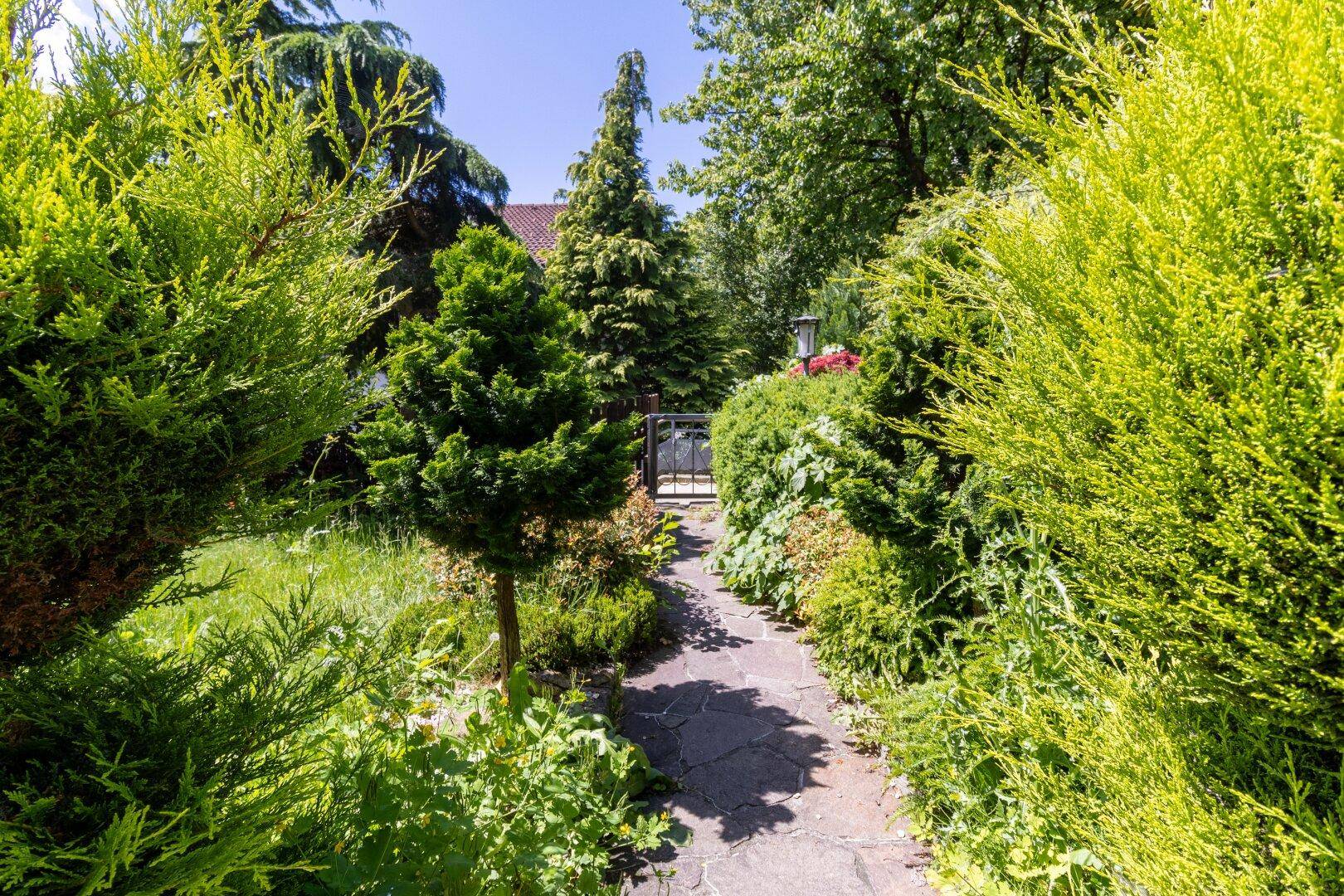 Gartenweg schlängelt sich durch dichtes Grün und führt zu einem Tor, umgeben von hohen Büschen.