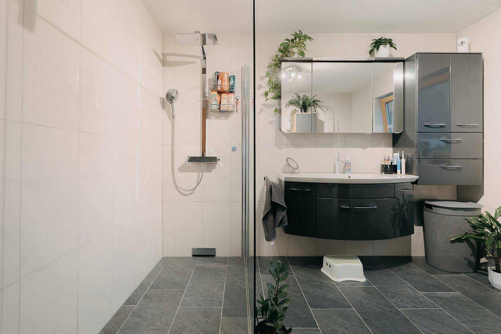 Modernes Badezimmer mit großer begehbarer Dusche, Waschtisch und Spiegelschrank.