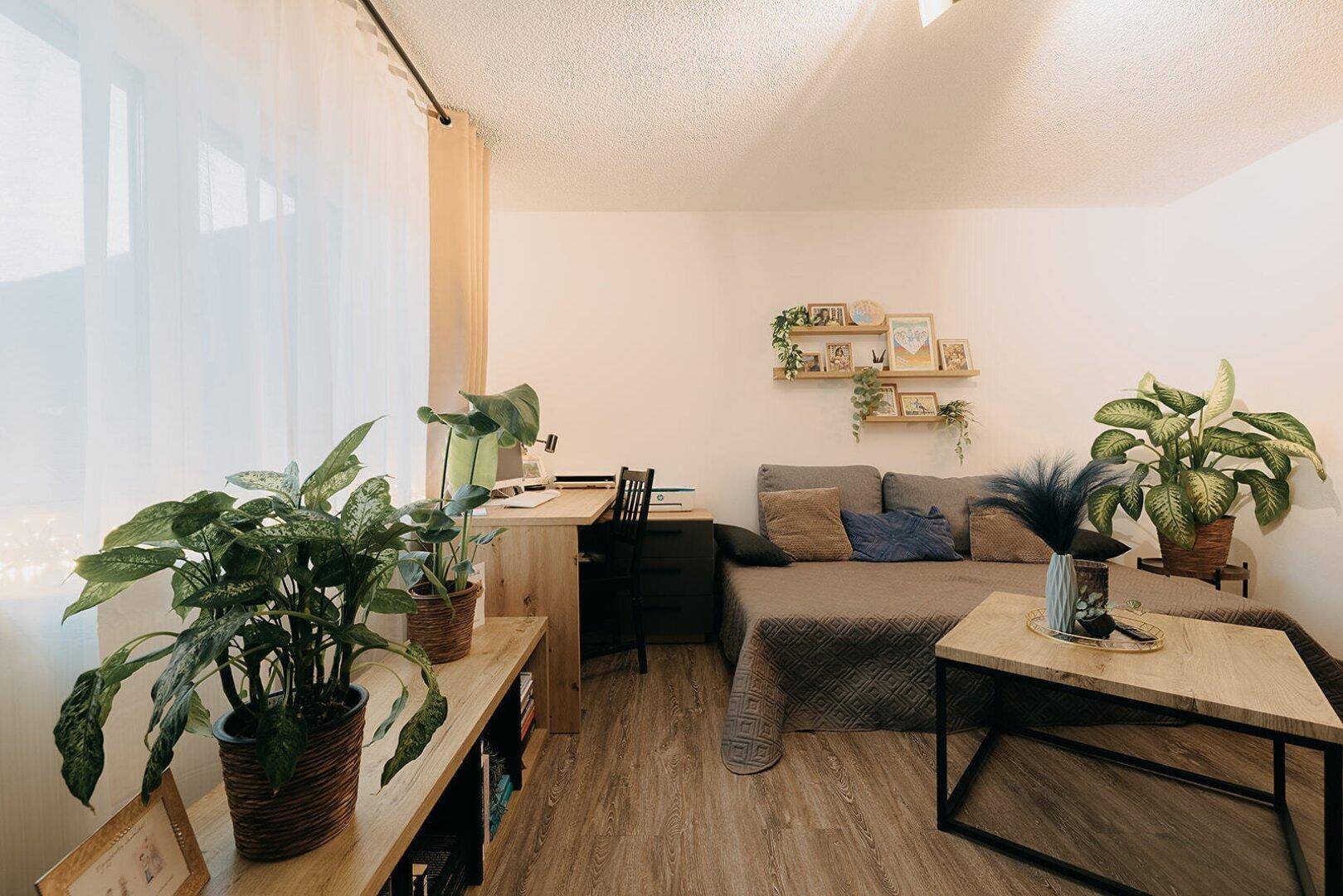 Helles Wohnzimmer mit Sofa, Schreibtisch und vielen Pflanzen für eine grüne Atmosphäre.