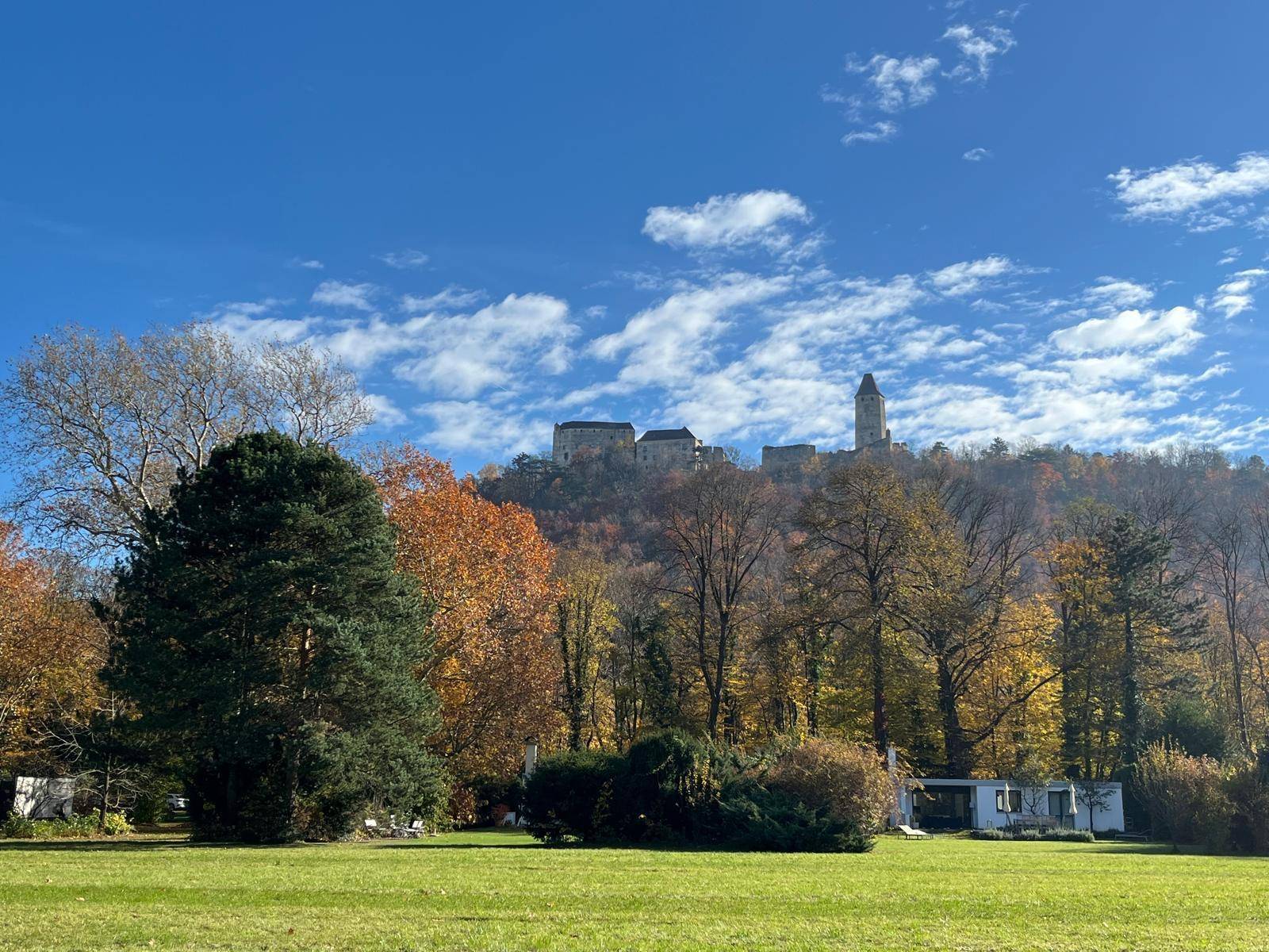 Wohnen im Schlosspark Seebenstein - Mitten im Park mit Pool - Ansicht 2