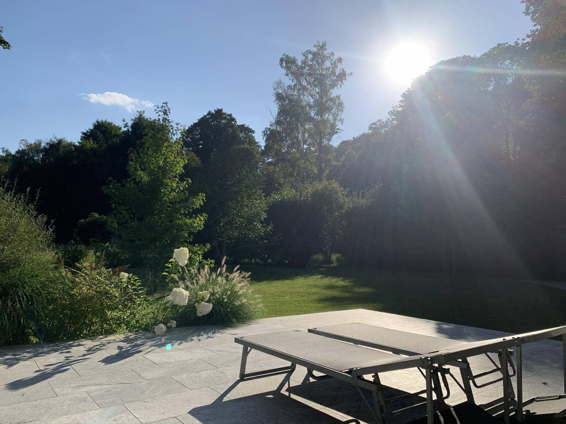 Wohnen im Schlosspark Seebenstein - Mitten im Park mit Pool - Ansicht 5