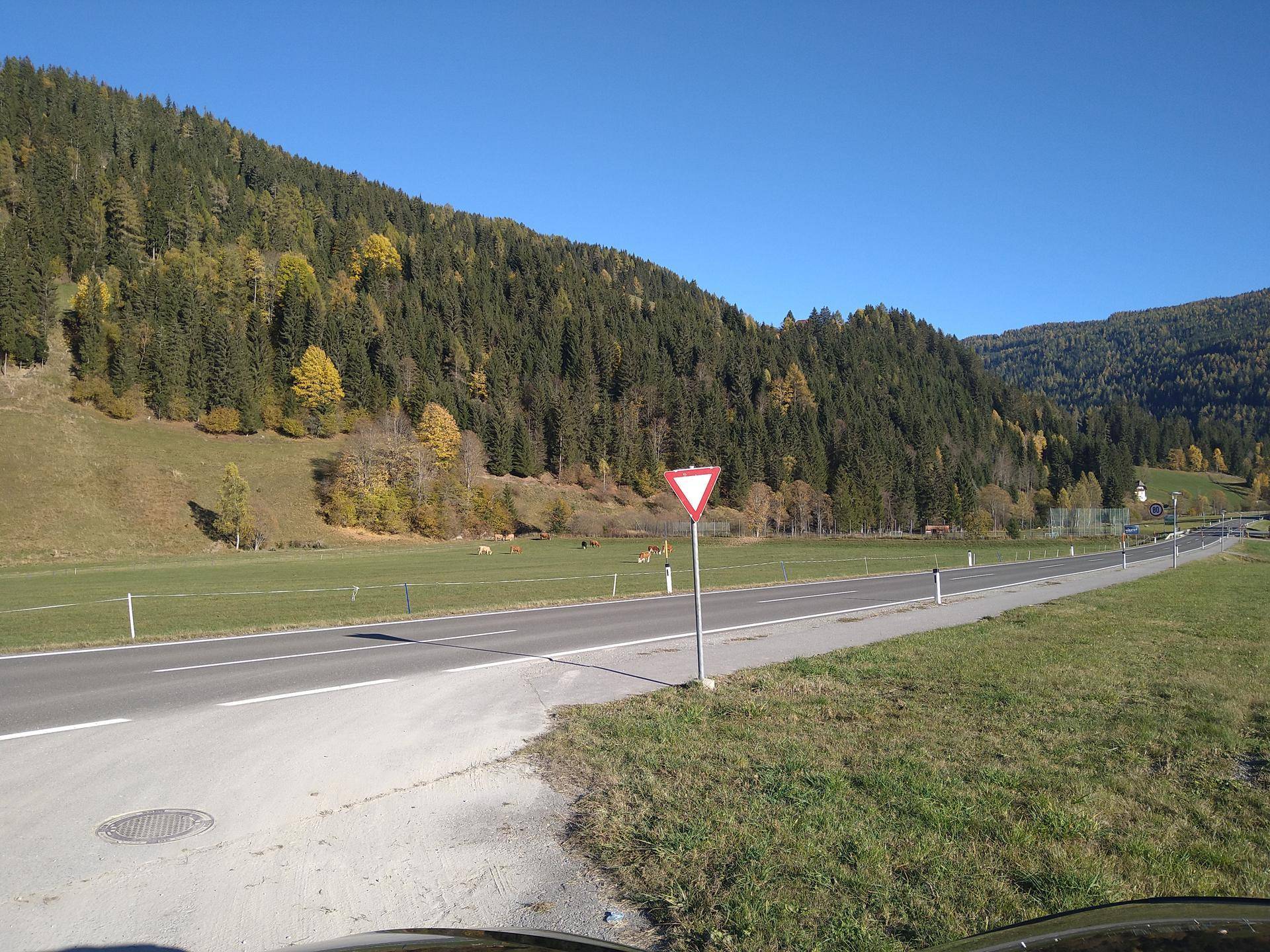 Weitläufige Landschaft mit Straße, grünen Wiesen und bewaldeten Berghängen.