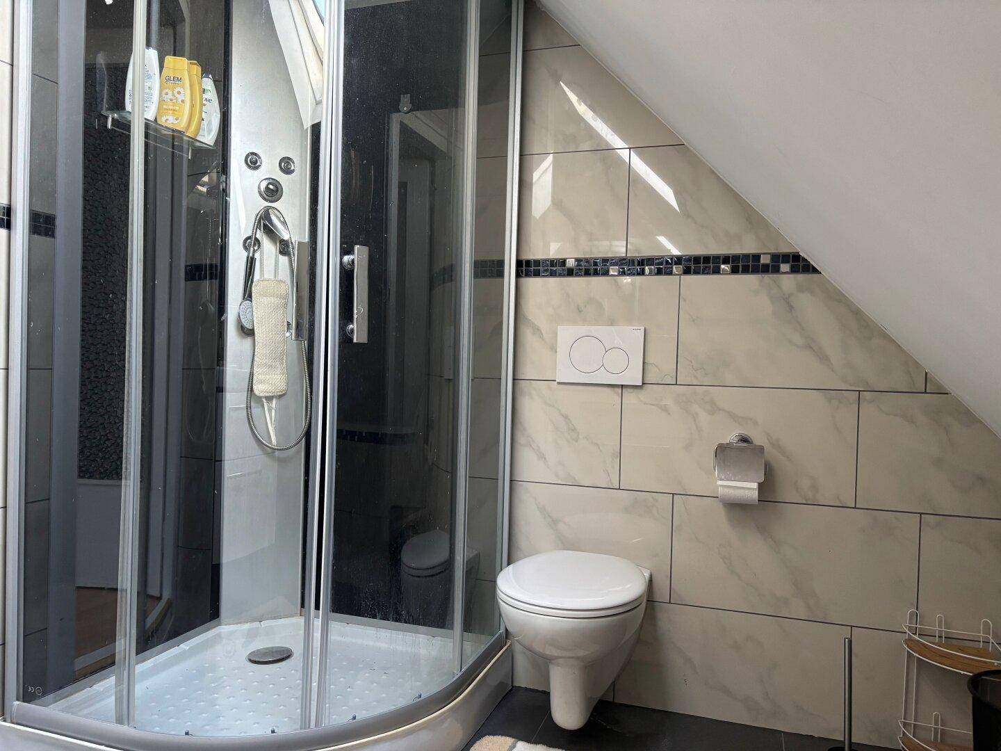 Modernes Badezimmer im Dachgeschoss mit Dusche, WC und Dachschräge.