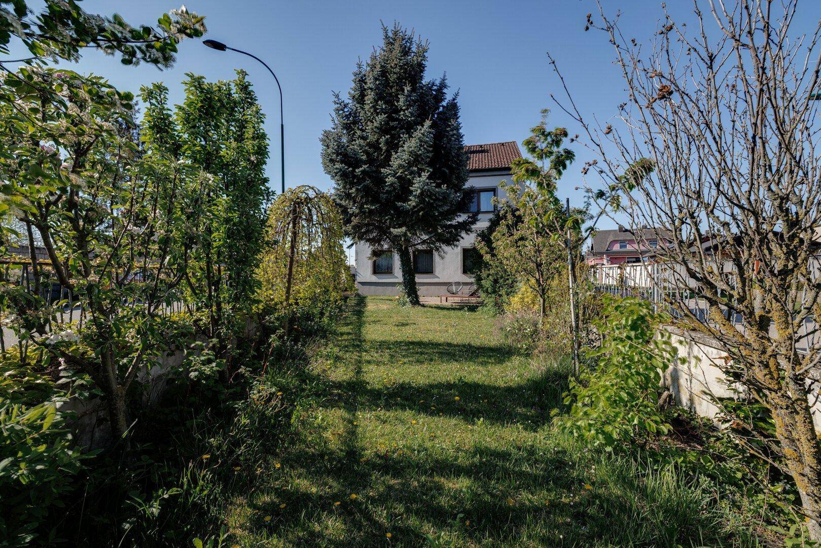 Großer Garten mit Rasenfläche und altem Baumbestand, umgeben von Hecken.