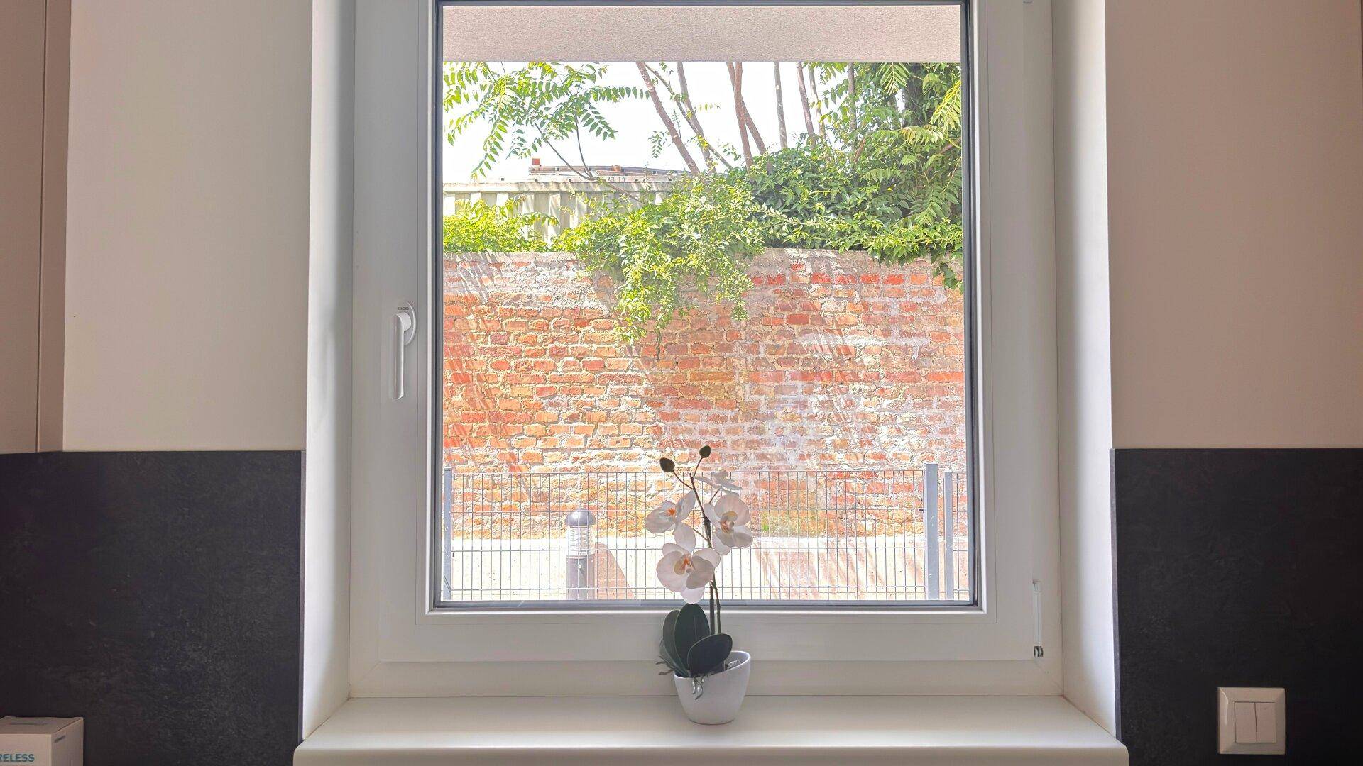 Küchenfenster mit Blick auf eine alte Ziegelmauer und grüne Pflanzen im Außenbereich.
