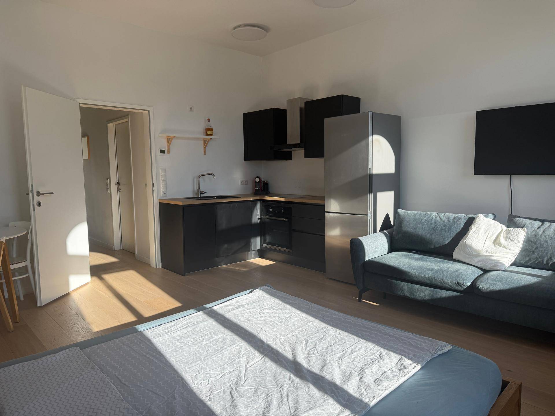 Offener Wohnbereich mit integrierter Küchenzeile, Sofa und Schlafbereich, hell erleuchtet durch die Sonne.