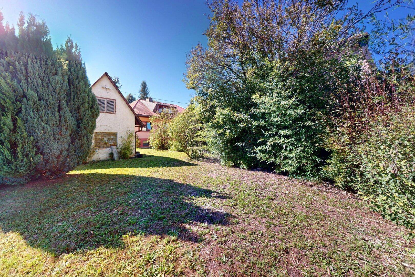 Weitläufiger Gartenbereich mit hohen Bäumen und Sträuchern, ideal zum Entspannen.
