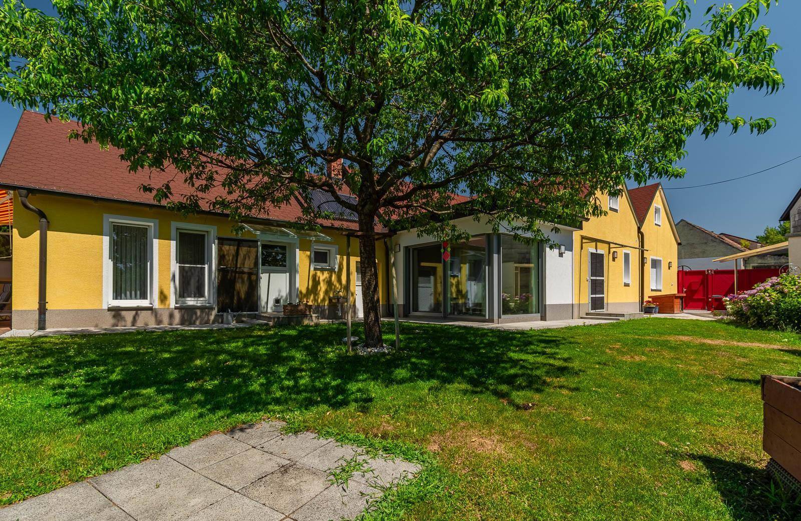 Ansicht des gelben Hauses vom Garten aus mit großem Baum und viel Grün an einem sonnigen Tag.