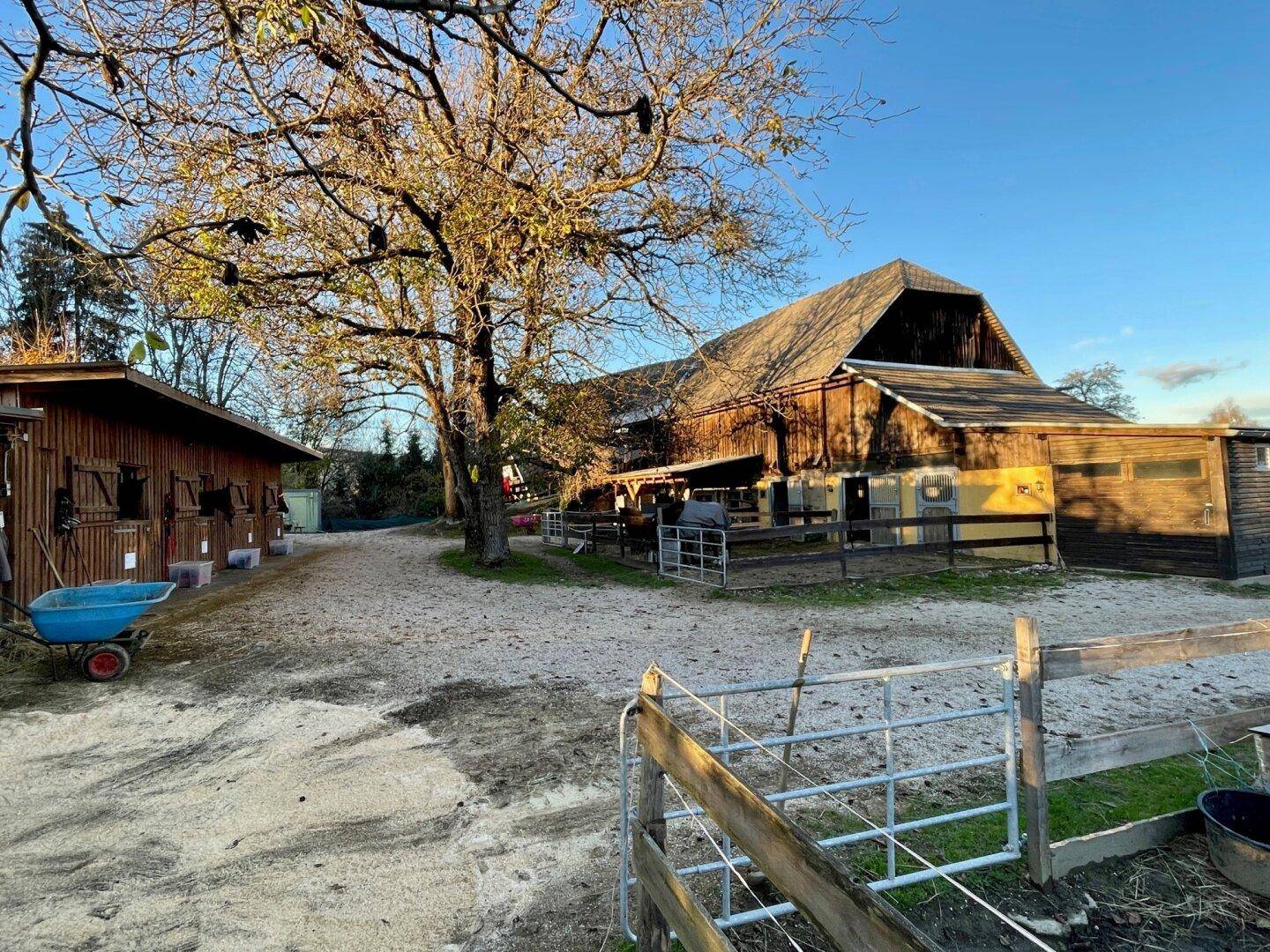 Blick auf die Stallungen und den Hofbereich mit Holzbauten und Schotterfläche unter blauem Himmel.