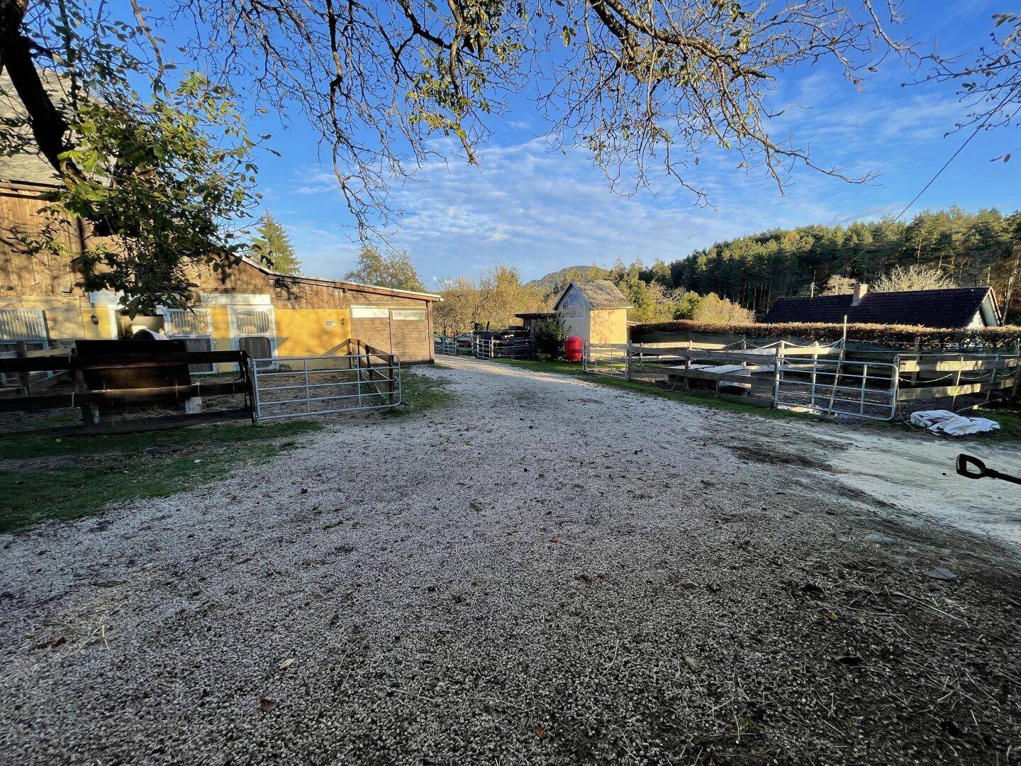 Langer Schotterweg führt zu den Stallungen und eingezäunten Bereichen des ländlichen Anwesens.
