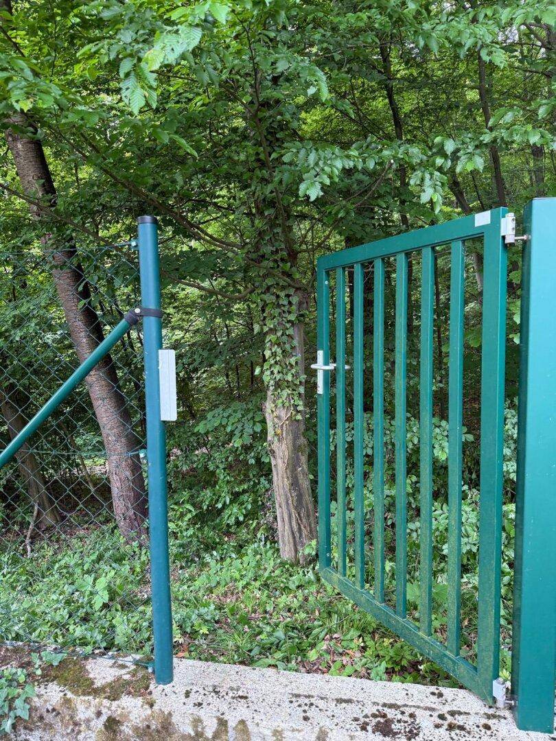 Zugang zum Wald