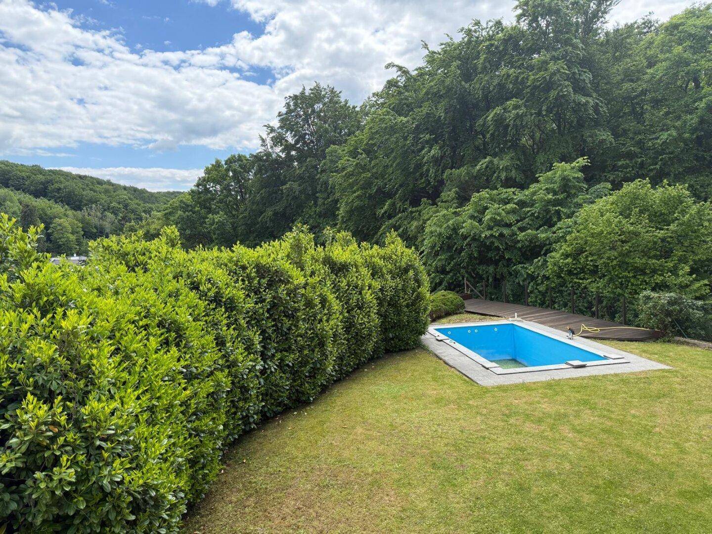 Garten mit Pool