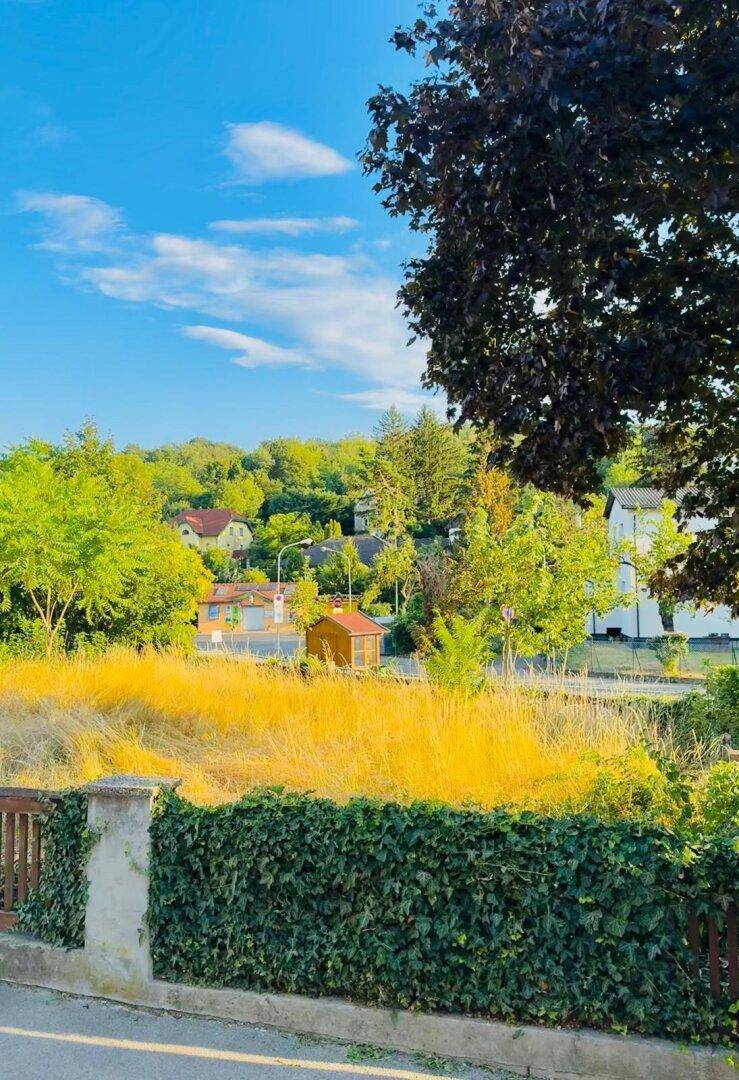 Blick über eine Hecke auf ein Feld mit hohem Gras und die umliegende grüne Landschaft.