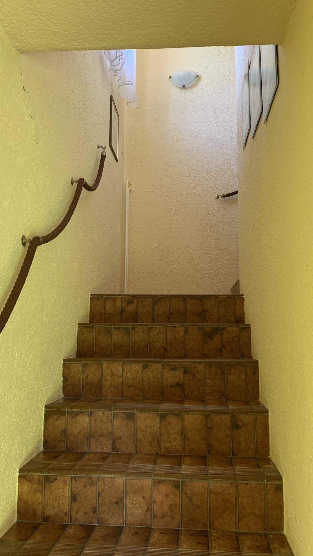 Slide 7