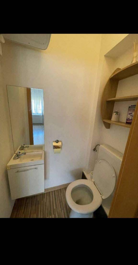 Separate Toilette mit einem kleinen Waschbecken und Holzboden.