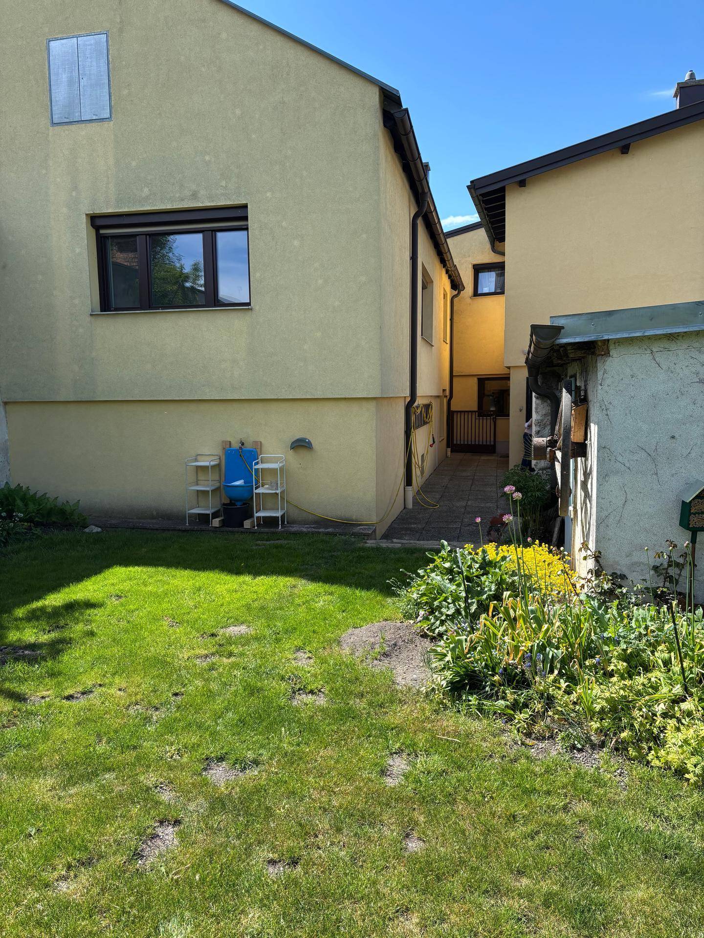 Gepflegter Gartenbereich mit Rasenfläche und blühenden Pflanzen hinter einem Wohngebäude.