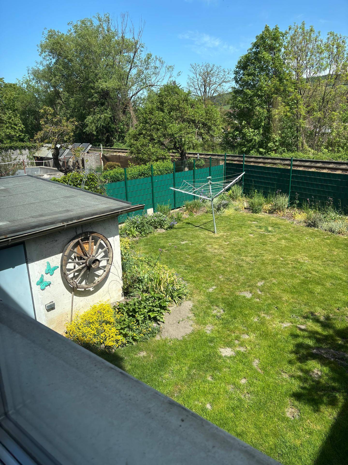 Ein gepflegter Garten mit Rasenfläche, einem Schuppen und Wäscheleine, umgeben von Bäumen.