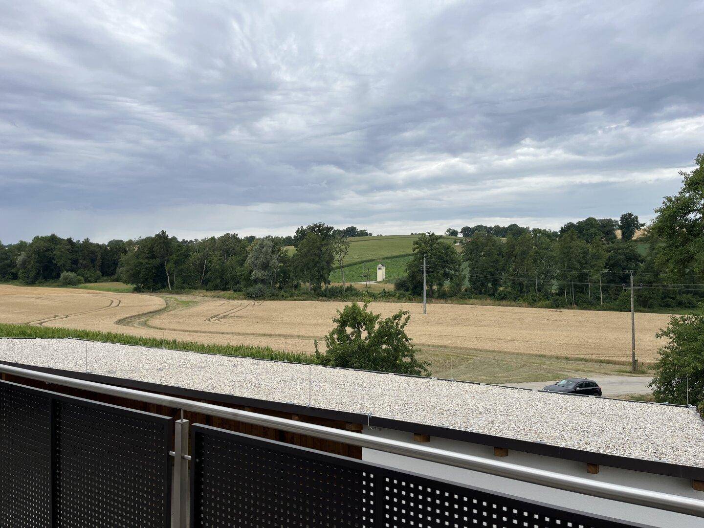 Balkon mit weitem Blick über landwirtschaftliche Flächen und bewaldete Hügel unter bewölktem Himmel.