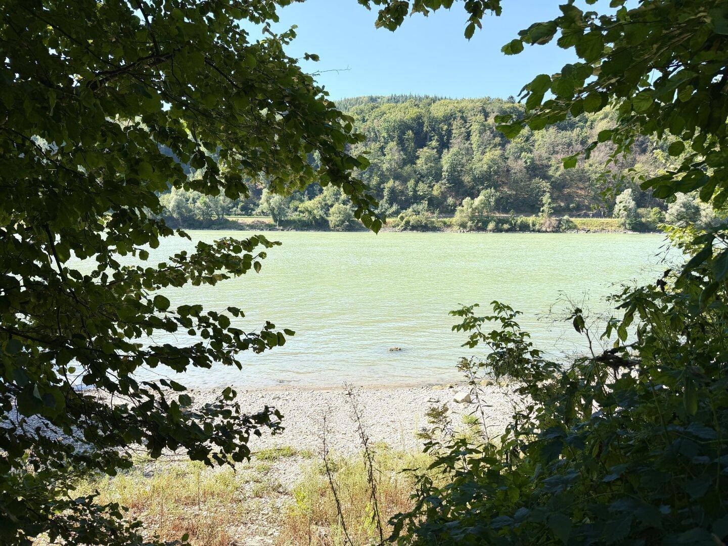 Slide 24