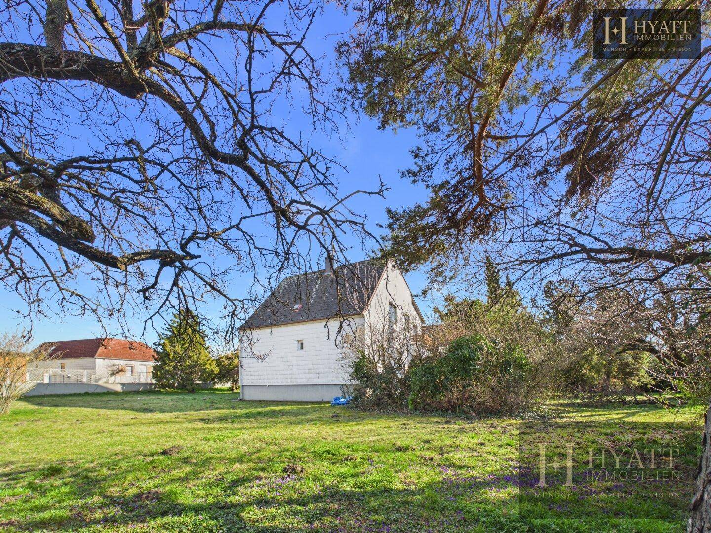 Großes Grundstück mit altem Baumbestand und Blick auf das Einfamilienhaus.
