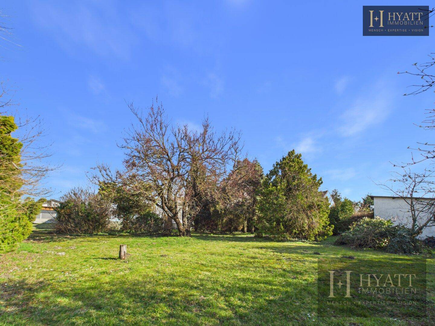 Weitläufiger Gartenbereich mit Rasenfläche und altem Baumbestand unter blauem Himmel.