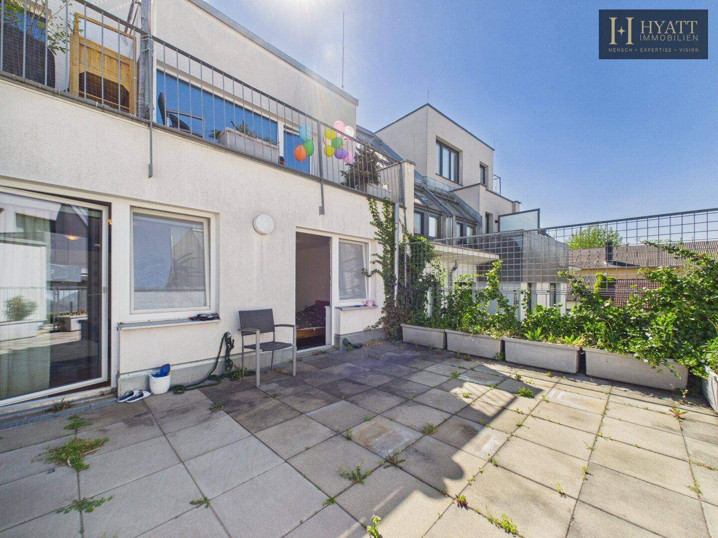 Sonniger Terrassenbereich mit Steinplatten, Pflanzen und Zugang zum Innenraum.