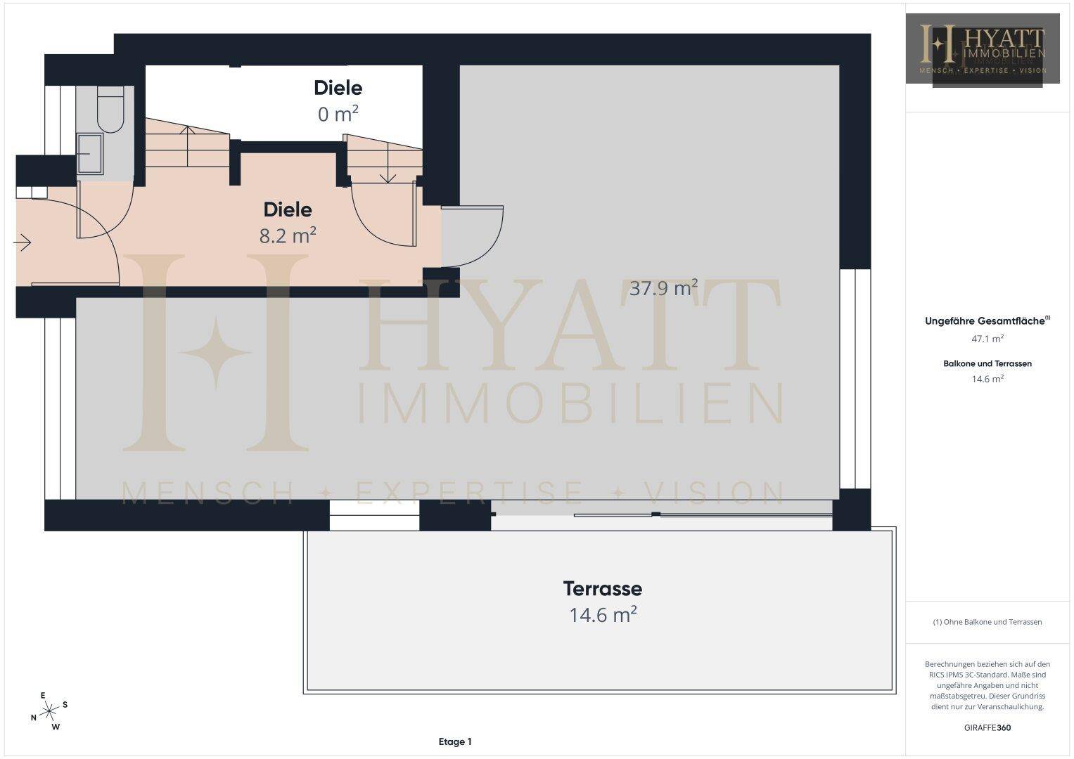Grundriss einer Etage mit Diele und großer Terrasse, bietet viel Wohnraum.